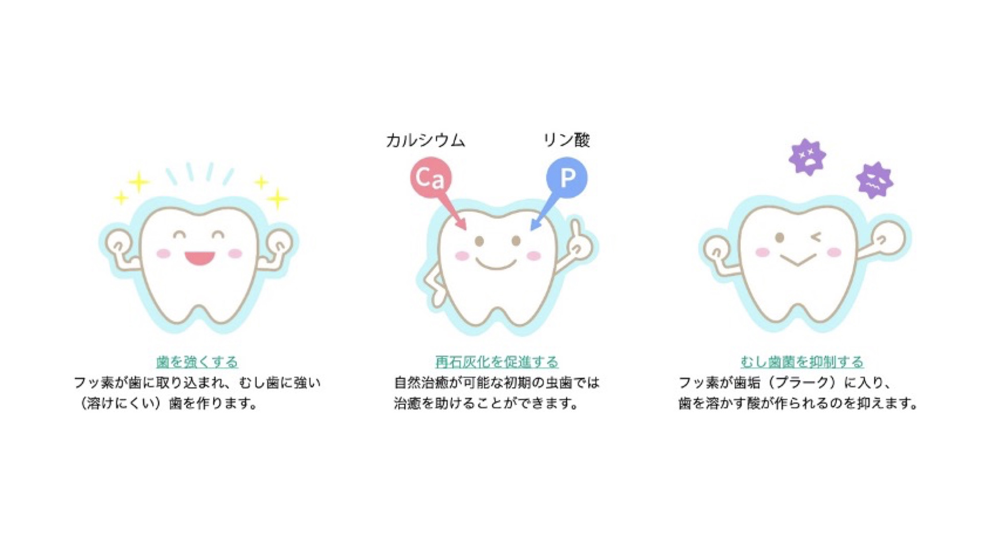 意外と知らない！フッ素の働きとは？